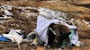 فقر در نظام آخوندی در ایران 
