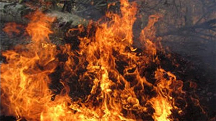 آتش‌سوزی گسترده در پارک جنگلی بلوران کوهدشت