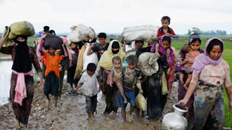 فرار جمعی مردم روهینگیا بخاطر کشتار بیرحمانه 