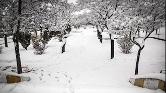برف و سرما در اردبیل