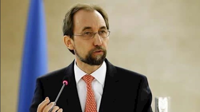 زید رعد الحسین، کمیسر عالی حقوق بشر  سازمان ملل
