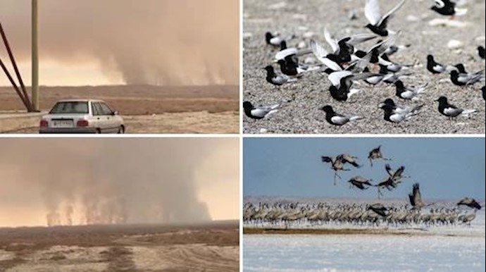 تالاب میقان  - قبل و بعد از آتش سوزی