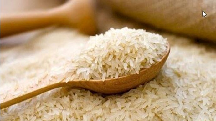 به رنج شدن برنجکاران بر اثر واردات برنج