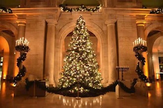 نیویورک سیتی - آمریکا