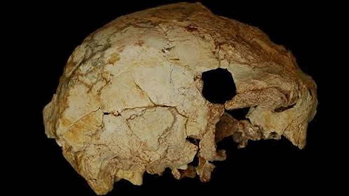 کشف فسیل 400 هزار ساله انسان در پرتغال