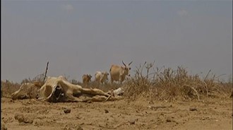 قحطی در کنیا