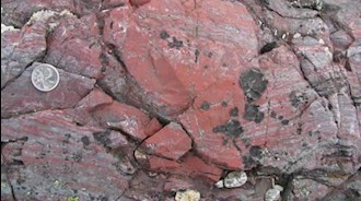 قدیمیترین فسیل درکانادا کشف شد