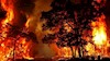 آتش‌سوزی جنگلهای -آرشیو