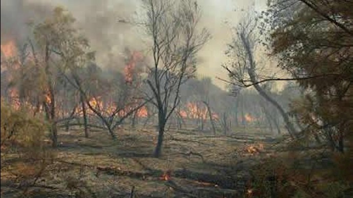 آتش سوزی در پارک ملی کرخه 