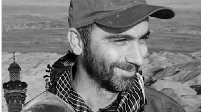 عبدالحمید محمود شری