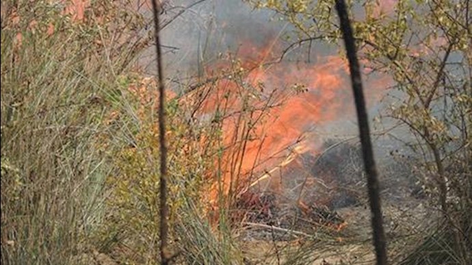 آتش‌سوزی در میانکاله بهشهر