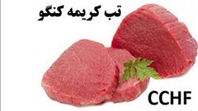 تب کریمه کنگو