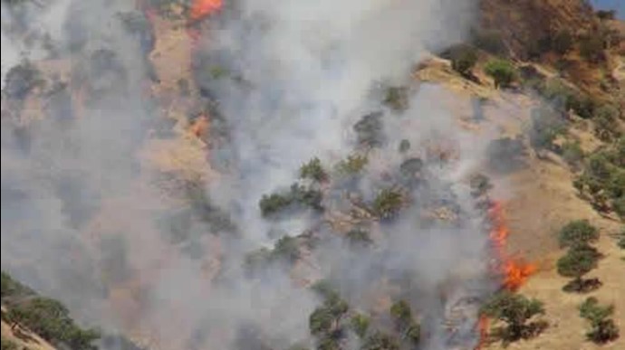 آتش سوزی جنگلهای ایران