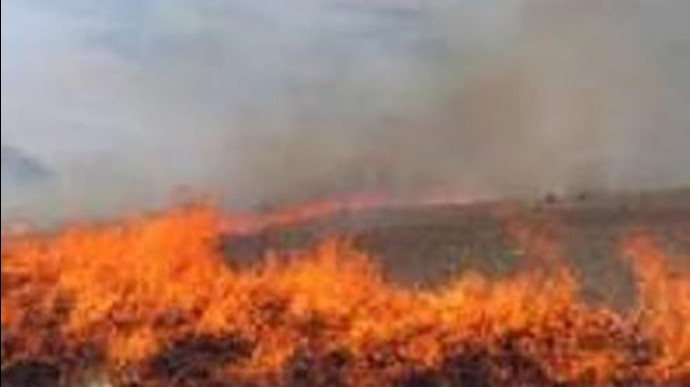 آتش‌سوزی در جنگل‌های کهگیلویه و بویراحمد
