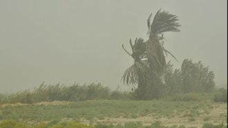 آلودگی هوای سیستان نزدیک به 4برابر حد مجاز
