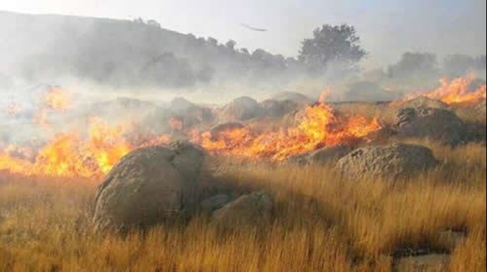 آتش‌سوزی جنگل‌های بلوط کوهمره نودان