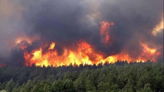 آتش‌سوزی مهیب در جنگلهای میانکاله