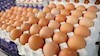 گرانی تخم مرغ