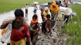 درخواست کمک سازمان عفوبین‌الملل برای مسلمانان روهینگیایی