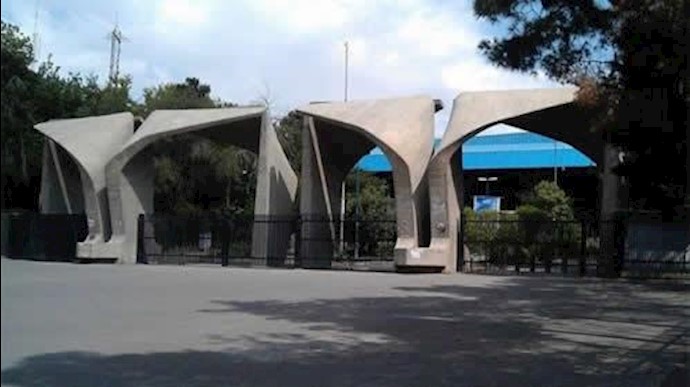 دانشگاه تهران