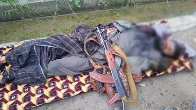 کشته شدن یک فرمانده کلیدی طالبان به وسیله هواپیمای بدون سرنشین 