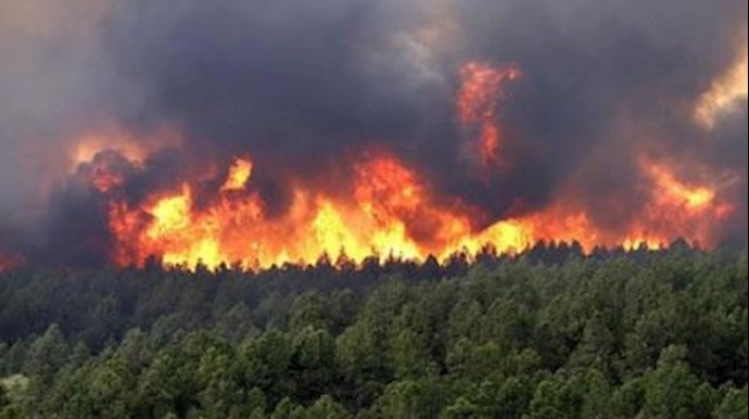 آتش‌سوزی گسترده در جنگل‌های سوزنی گلستان