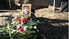 مراسمی بر سر مزار شهید قیام علی پولادی