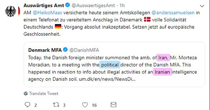 توئیت وزیر خارجه آلمان هیکو ماس در حمایت از دانمارک