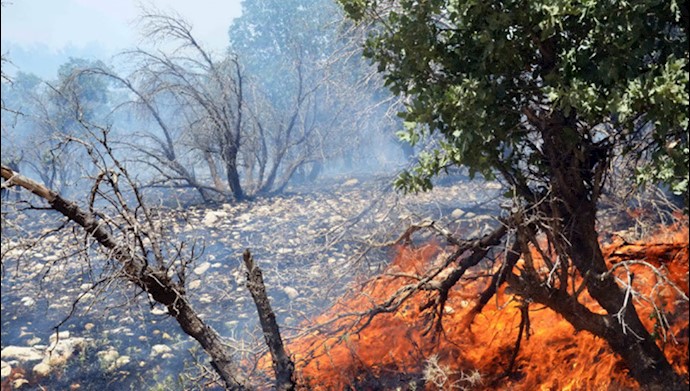 آتش‌سوزی جنگلها