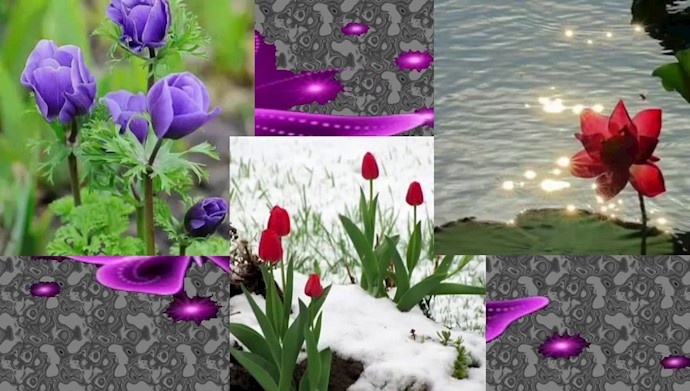 چه خالی است جای تو