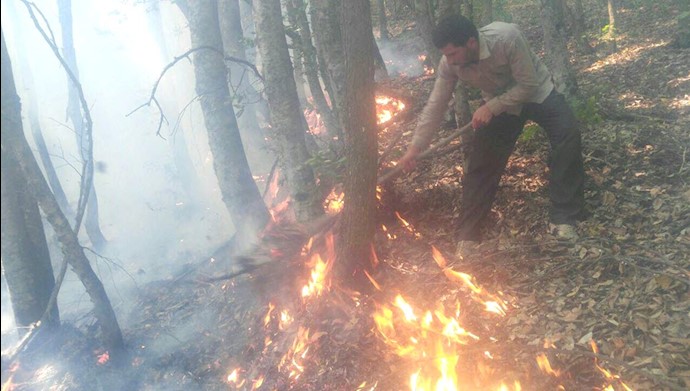 بخشی از جنگل‌های کجور در استان مازنداران در آتش سوخت