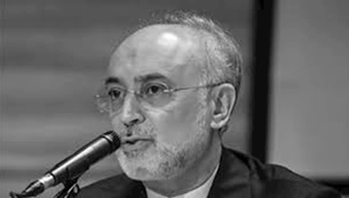 ​​​​​​​علی اکبر صالحی رئیس سازمان انرژی اتمی رژیم