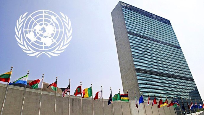 سازمان ملل متحد