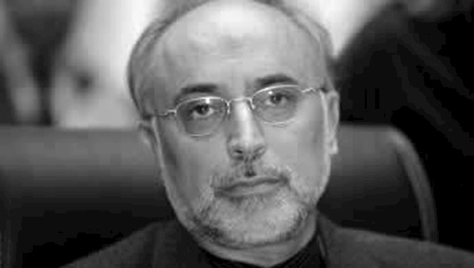 علی اکبر صالحی رئیس سازمان انرژی اتمی رژیم