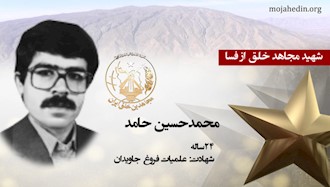 مجاهد شهید محمدحسین حامد