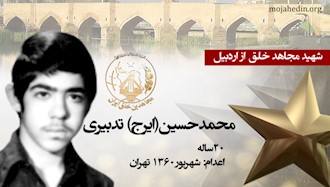 مجاهد شهید محمدحسین(ایرج) تدبیری