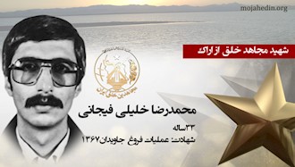 مجاهد شهید محمدرضا خلیلی فیجانی