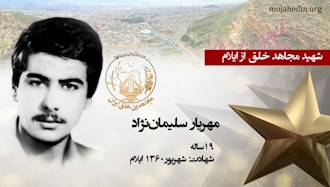 مجاهد شهید مهریار سلیمان‌نژاد