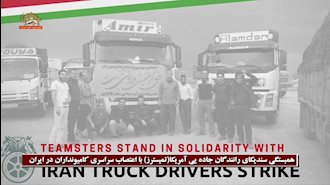همبستگی سندیکای رانندگان جاده‌یی آمریکا(تیمسترز) با اعتصاب رانندگان کامیون