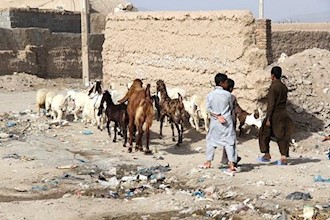 حاشیه‌نشینی در زاهدان، محصول نظام ولایت فقیه