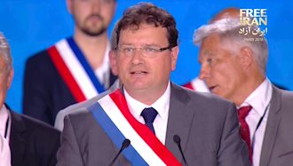 فیلیپ گوسلن، نماینده مجلس ملی فرانسه