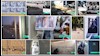 شهرهای ایران - فعالیت کانونهای شورشی به مناسبت ۳۰ تیر