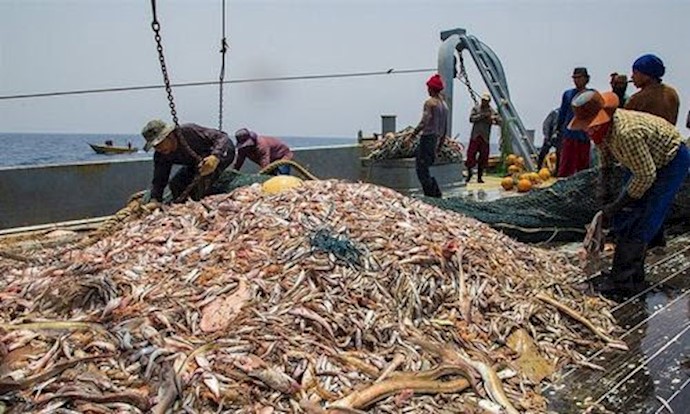 ماهیگیری چینی‌ها در آ‌ب‌های عمیق ایران