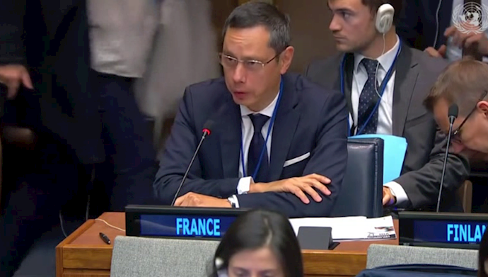 نماینده فرانسه در مجمع عمومی ملل متحد