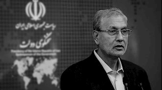 علی ربیعی سخنگوی دولت روحانی