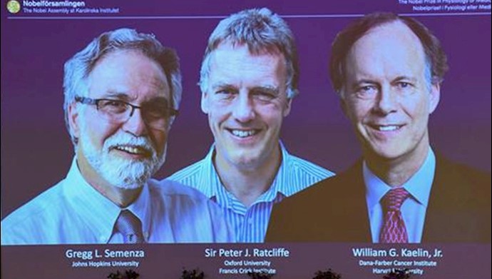 برندگان نوبل پزشکی ۲۰۱۹