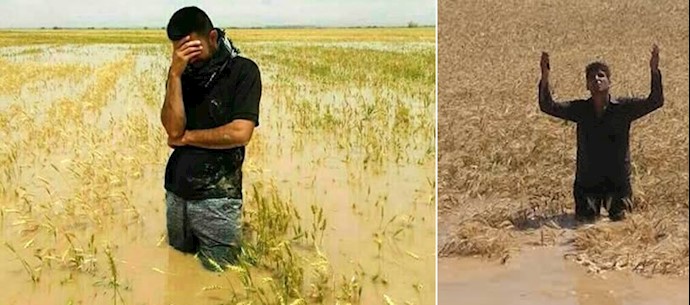 کشاورزان خوزستان تمام محصول خود را در این سیل از دست دادند