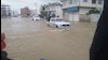 سیل در گلستان
