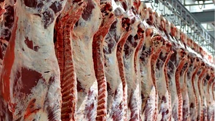 گرانی ۱۰۵درصدی گوشت گوسفند