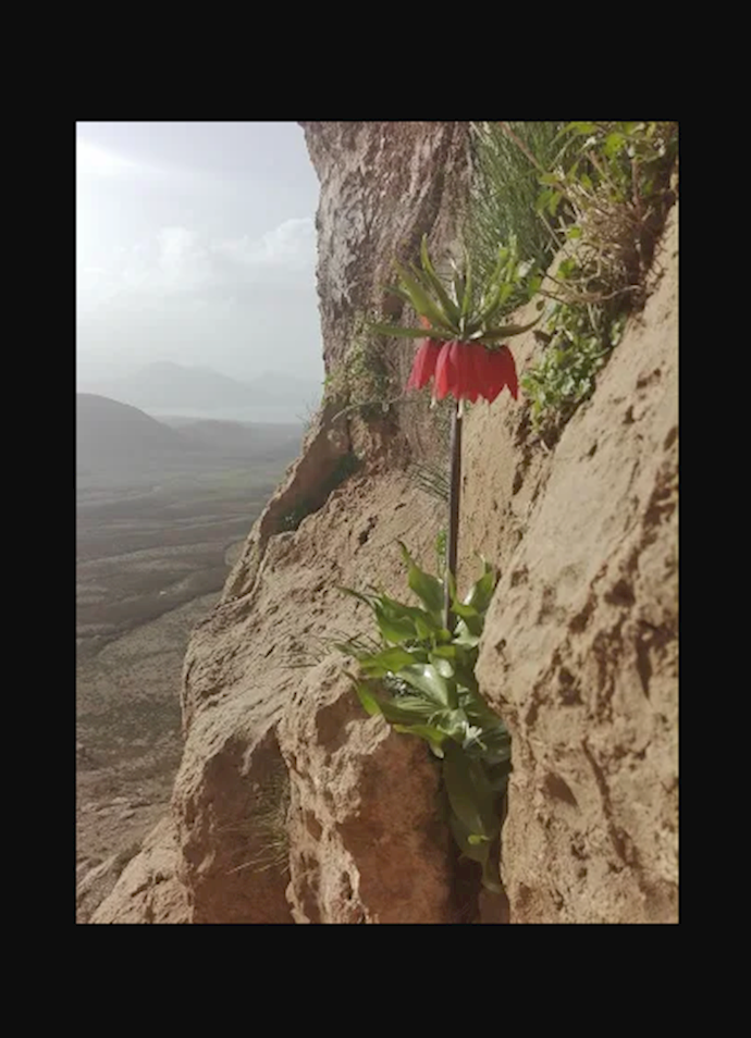 عکس ضمیمه